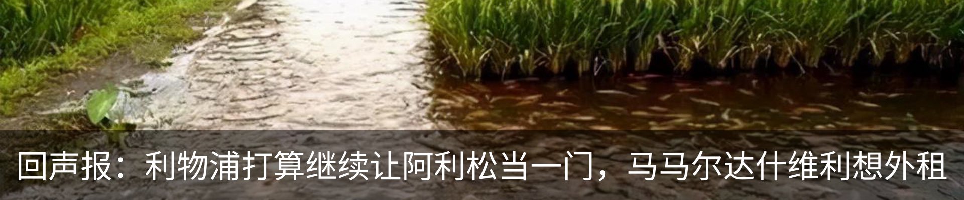 热点资讯
