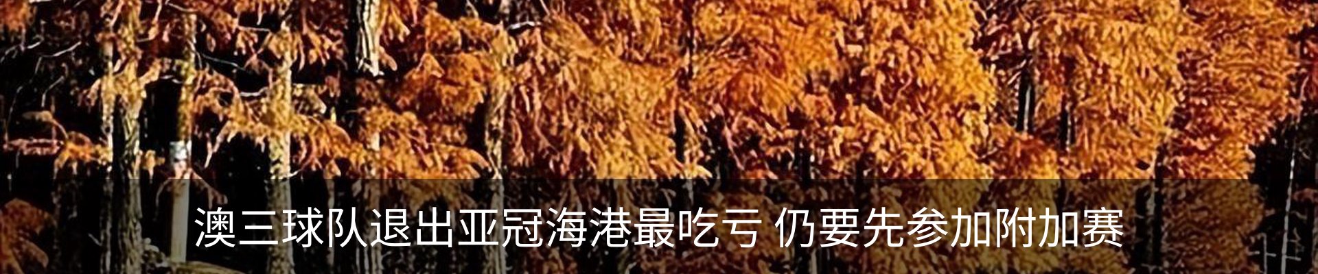 热点资讯